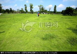 青青青草国产视频,国产视频中的青春记忆与成长轨迹